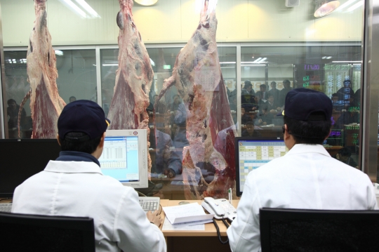 농협축산물공판장, 소 도축두수 30만두 최초 달성