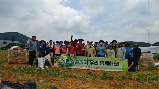 용인 농업기술센터, 일손부족 농가돕기 나서