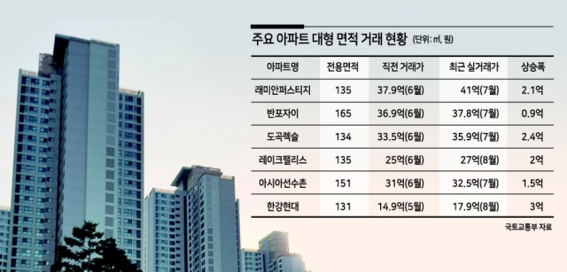 다주택 정리 ‘똘똘한 큰집 한 채’…강남 대형아파트 ‘고공행진