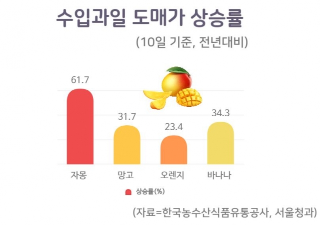 토마토 이어 자몽도 ‘실종’…수입과일값 천정부지 [언박싱]