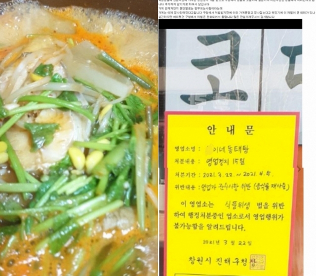 팔팔 끓여줬잖아 곤이 재사용 동태탕집 결국 폐업