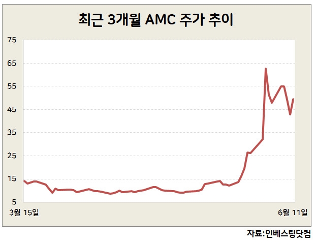 [투자와 도박 사이 ‘밈(meme) 주식’]'꺼질만 하면 다시'…계속되는 밈 주식 광풍