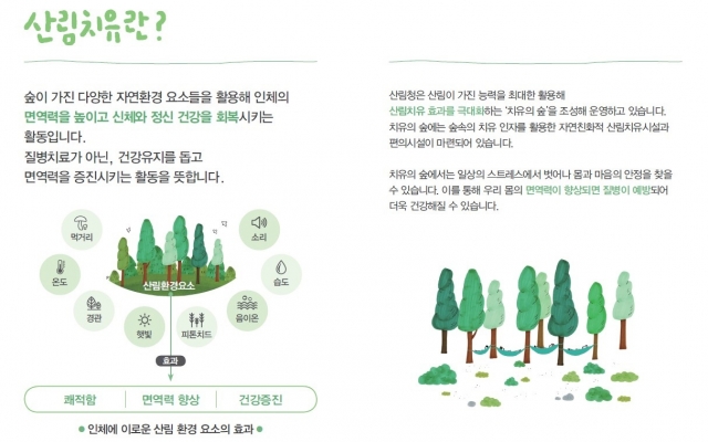 오감을 깨우는 산림치유 프로그램, 골라 가는 ‘꿀잼’