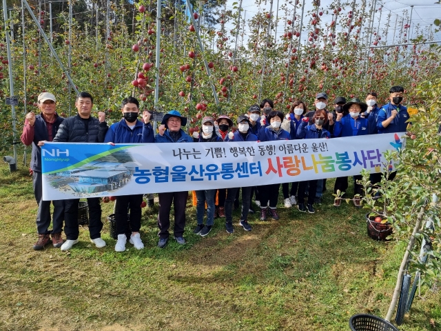 농협울산유통센터, 애플팜 사과따기 농촌일손돕기