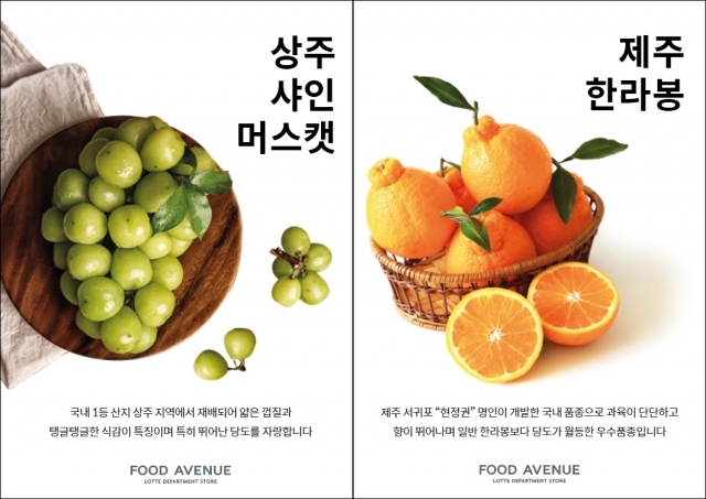 ‘1등과일만 판매’…롯데百 강남점, 프리미엄 과일 전문관 오픈