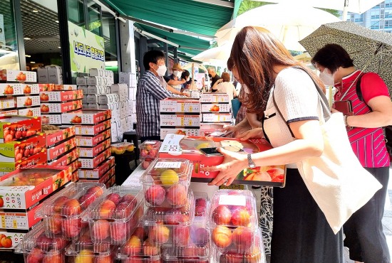 의성 특산품 서울 안국역 상생상회서 기획판매…자두·복숭아등 과일 완판