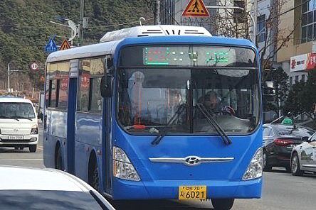 봉화군, 송이축제기간 30일부터 버스노선 변경운행…영주 봉화 간 33번 시내버스 노선변경