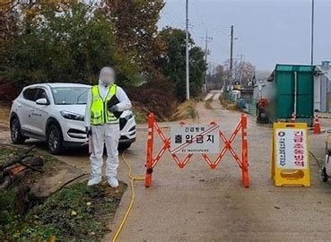 청주 육계·오리농장서 AI 항원 검출… 고병원성 여부 확인중