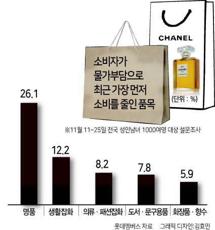 샤넬백 못사도 향수라도…불황의 경제학 ‘스몰 럭셔리’ [어떻게 보십니까 2023-新소비]
