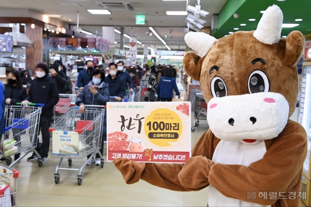 [헤럴드포토] 오늘은 한우 먹자!…농협유통, 고객 물가 안정 한우 100마리! 파격 할인