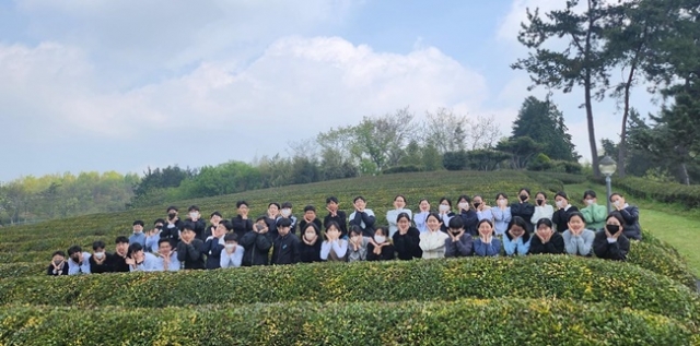 국가중요농업유산 전라도 보성 차 체험 인기