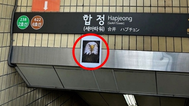 합정역 입구에 독수리 사진이 왜?…알고보니 황당