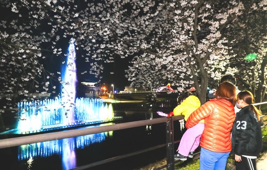 제2회남대천벚꽃축제
