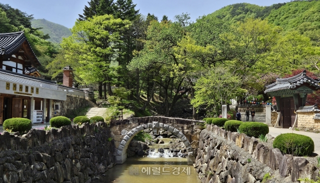 ‘의병장’ 사명대사 출가했던 절, 직지사…사시사철 아름다운 3만평 큰절  [정용식의 내마음대로 사찰여행 비경 100선]