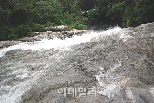 [위크엔드]지금 함양에 가면..몸도 마음도 심봤다