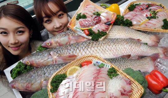 [포토]이마트 팔딱팔딱 숭어회 맛보세요