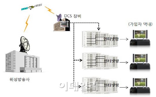 스카이라이프, 접시없는 위성방송 印尼 수출