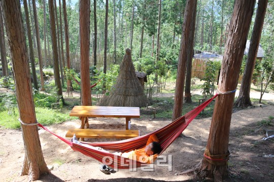 천관산 정상아래 한려해상이 넘실대고 편백나무 그늘아래 쉬어갈 수 있는 곳... 전라남도 장흥