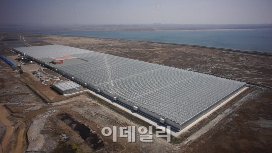 동부 토마토 온실단지 매각,올해 넘기나?