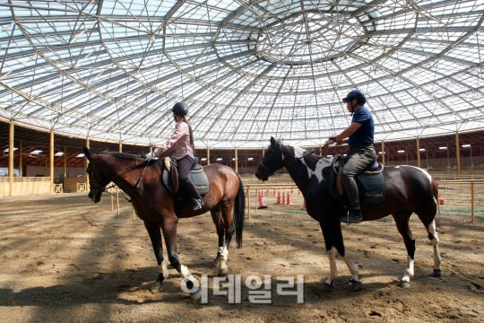 청마의 해 말이 있어 여행도 즐겁다, 경기도 추천여행