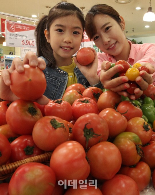 [포토]롯데마트, 토마토 최대 30% 할인 판매