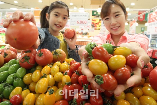 [포토]롯데마트, 이색 토마토 최대 30% 할인 판매