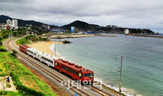 덜컹 기차에 몸싣고 동해 비경속으로…바다열차