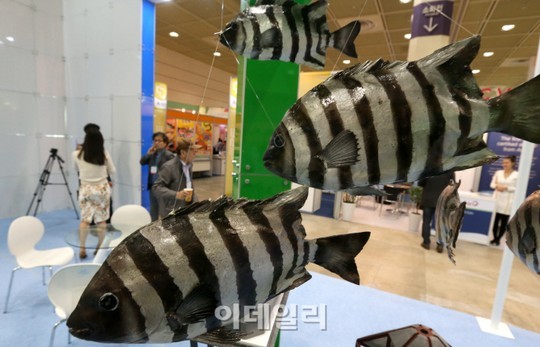[포토]2015 서울수산식품 전시회