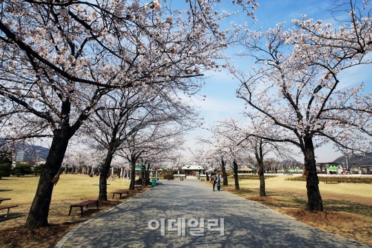 [e주말] 나들이…온가족 즐거운 경마공원