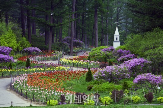 봄꽃, 이보다 더 화려할 수 없다…아침고요수목원