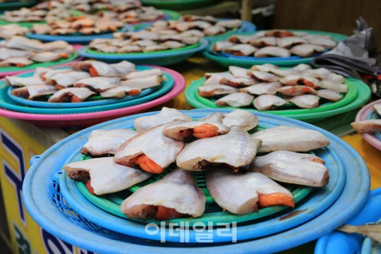 [여행] 포항물회가 봄맛을 당기는구나