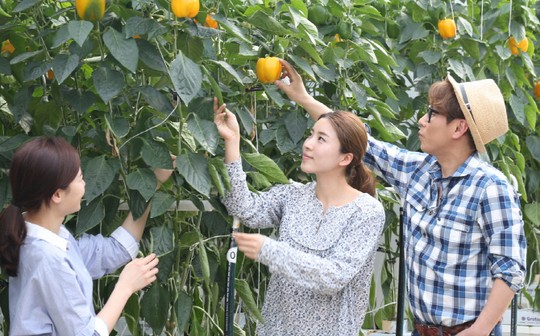[포토]대형마트서 파프리카 나눠주는 가수 윤종신