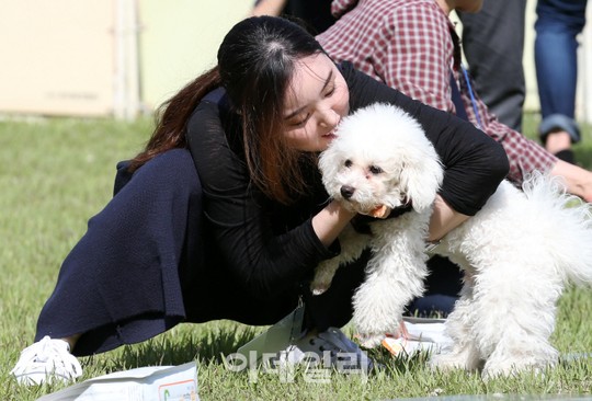 [포토]건국대, 제29회 애견 한마당 개최