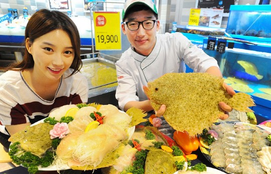 [포토]지금이 제철..제주 금빛 찰광어 맛보세요