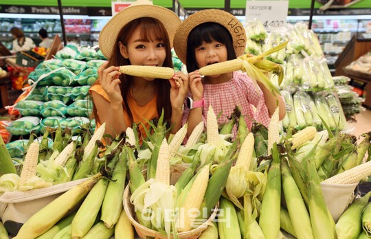 [포토]롯데마트 대학 찰옥수수 맛보세요