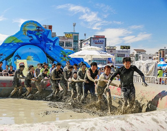 제26회 보령머드축제