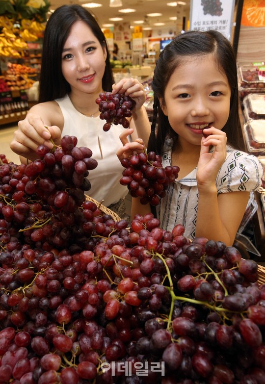 [포토]칠레산 포도 소개합니다
