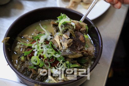 [여행] 가을 충주호, 농익은 물색에 빠지다