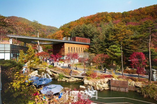 울긋불긋 가을옷 갈아입은 곤지암 화담숲
