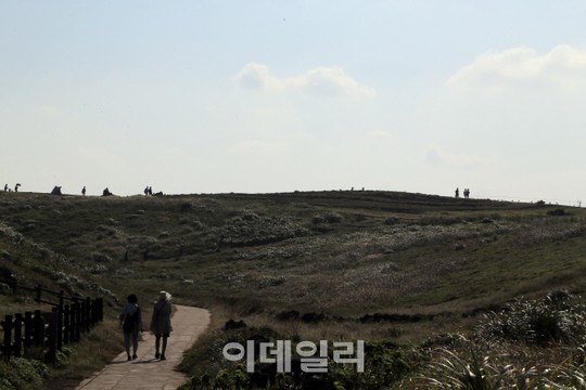 [여행] 삼다도의 가을은 하늘부터 물든다