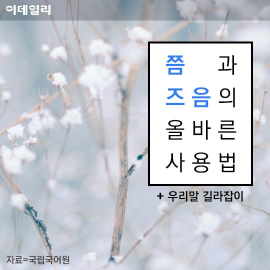 [카드뉴스] 쯤이 맞을까, 즈음이 맞을까? 쯤과 즈음의 올바른 사용법