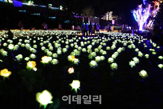[여행] 눈·바다·고택·와인…겨울여행주간 즐기는 10가지 방법