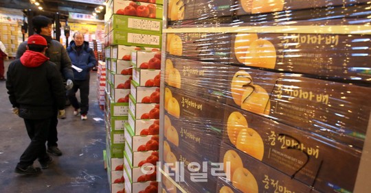 [포토]분주한 청과시장 상인들
