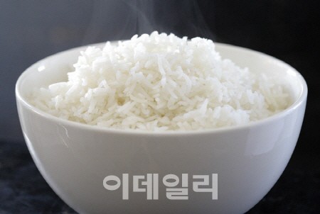 한국인은 밥심으로 산다? 하루 두공기도 안먹어