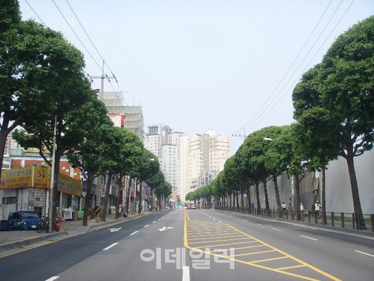 가로수 관리 전문가 양성…도시숲 체계적 관리