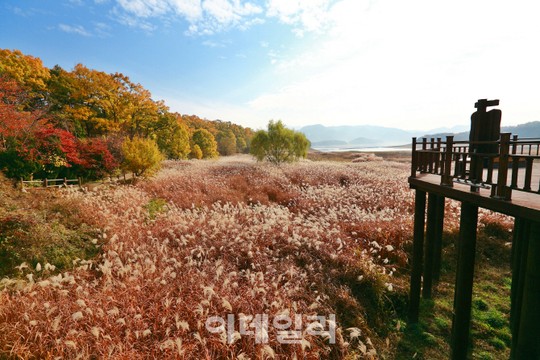 생태자원+이야기 생태테마관광 15곳 선정