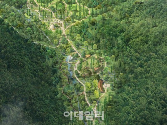 강원랜드 150만평 규모 치유의 숲 만든다
