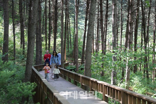 [힐링여행②] 사계절 보약 같은 치유의 숲 산음자연휴양림