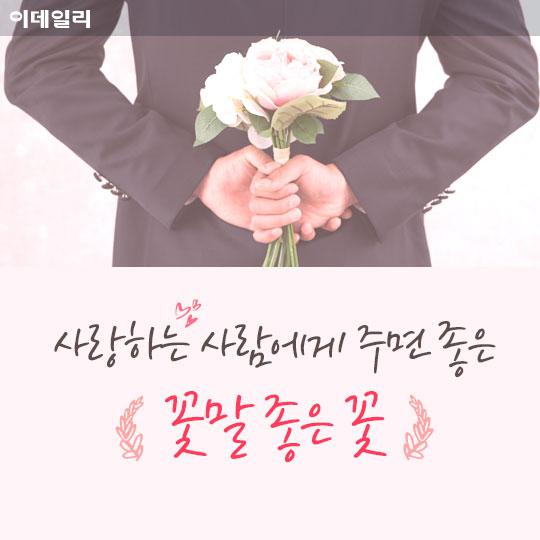 [카드뉴스] 사랑하는 사람에게 주면 좋은 꽃말 좋은 꽃