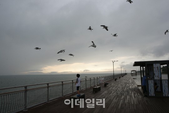[낭만도시①] 해수 공원에서 만끽하는 도심 바캉스 ‘송도국제도시’